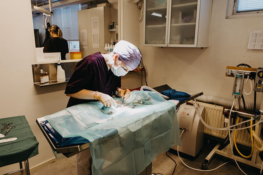 En pågående operation.